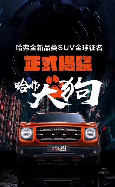 哈佛大狗，传奇与荣耀的交融