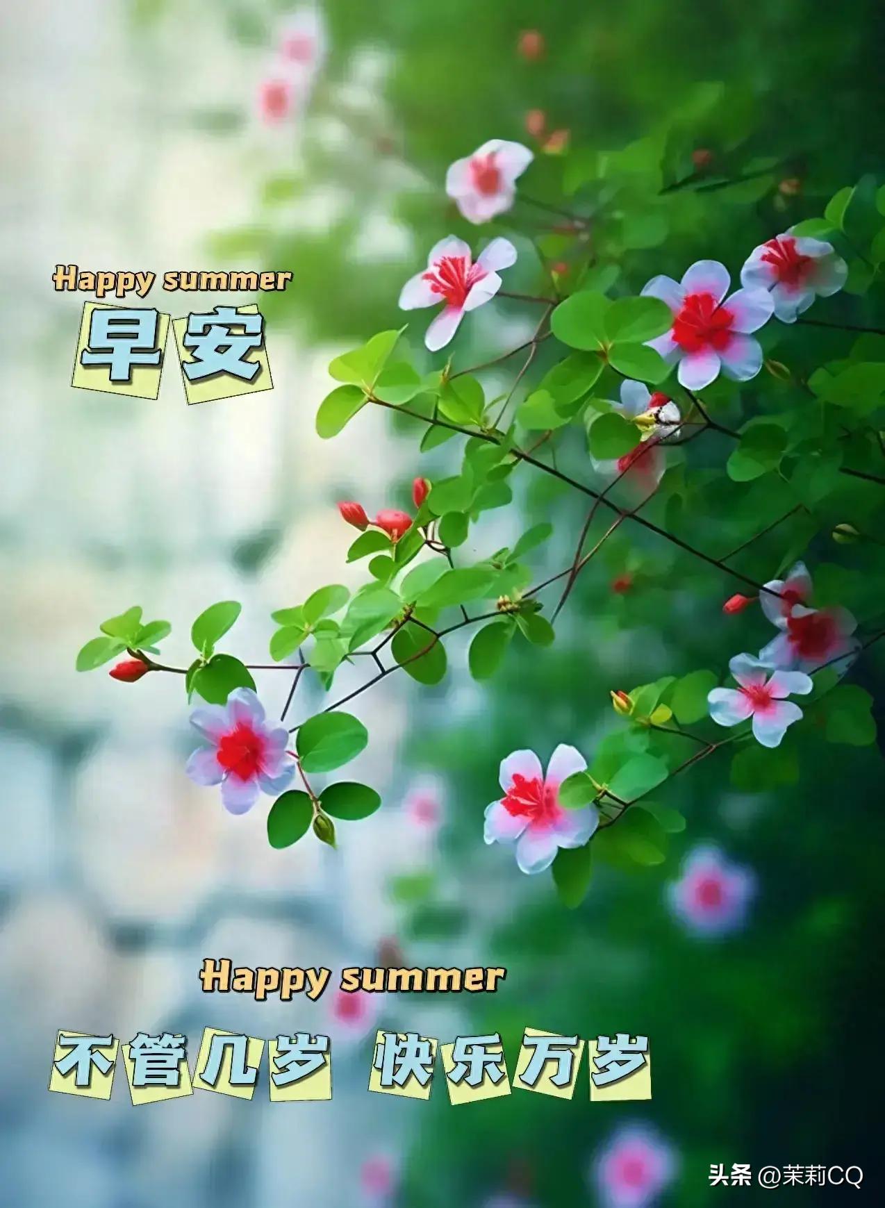 2024天天彩全年免费资料，现状解答解释落实_HD93.42.19