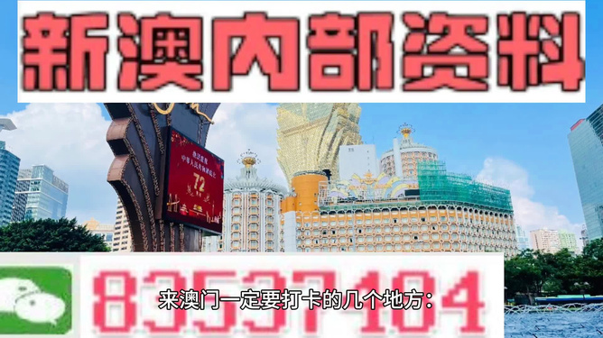 新澳门最新最快资料，经典解答解释落实_V版66.77.45