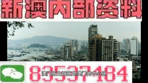 新澳门内部正版资料大全|精选解释解析落实