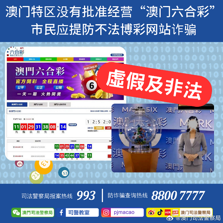 2024澳门免费精准资料|精选解释解析落实