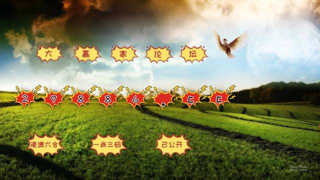 2024年12月 第75页
