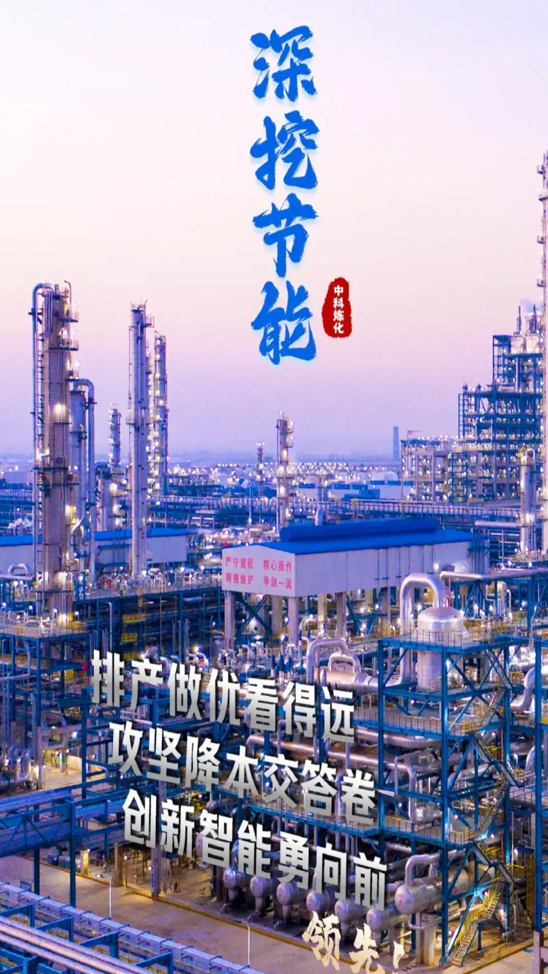 从新手到专家，驾驭汽车知识之路的蜕变之旅