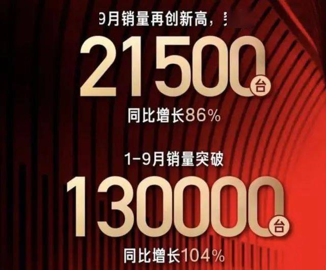 阿迪雅，品牌独特魅力与影响力的崛起之路