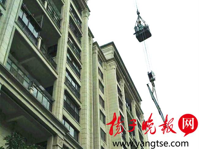 苏州违章现象治理行动，深化管理，共建文明城市