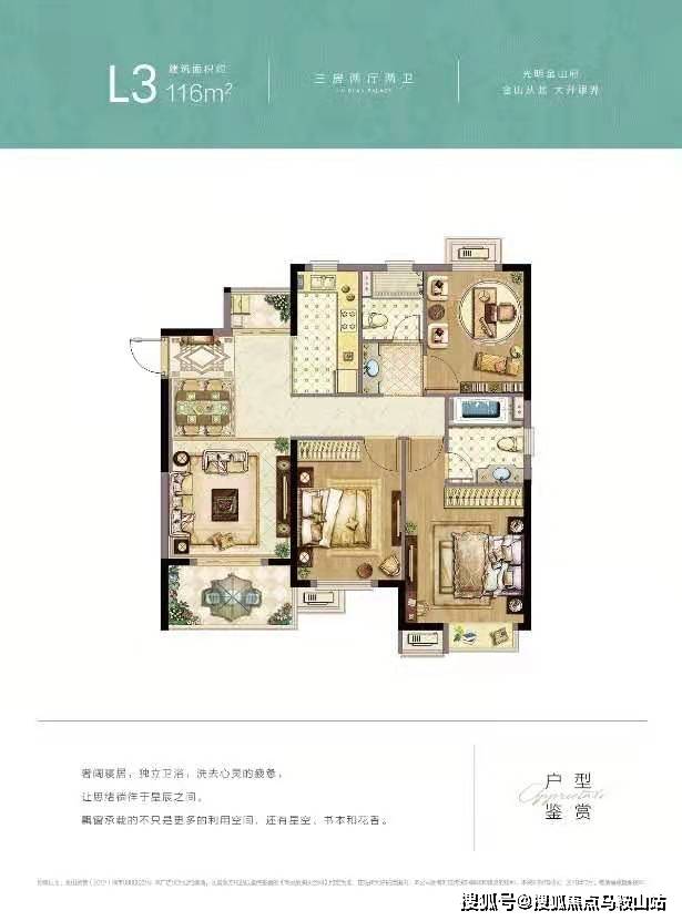 悦宝，生活的喜悦与希望之光