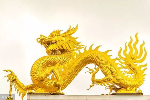 大金龙，传统工艺与现代科技的和谐融合之典范
