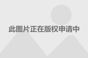 2025年1月3日 第5页