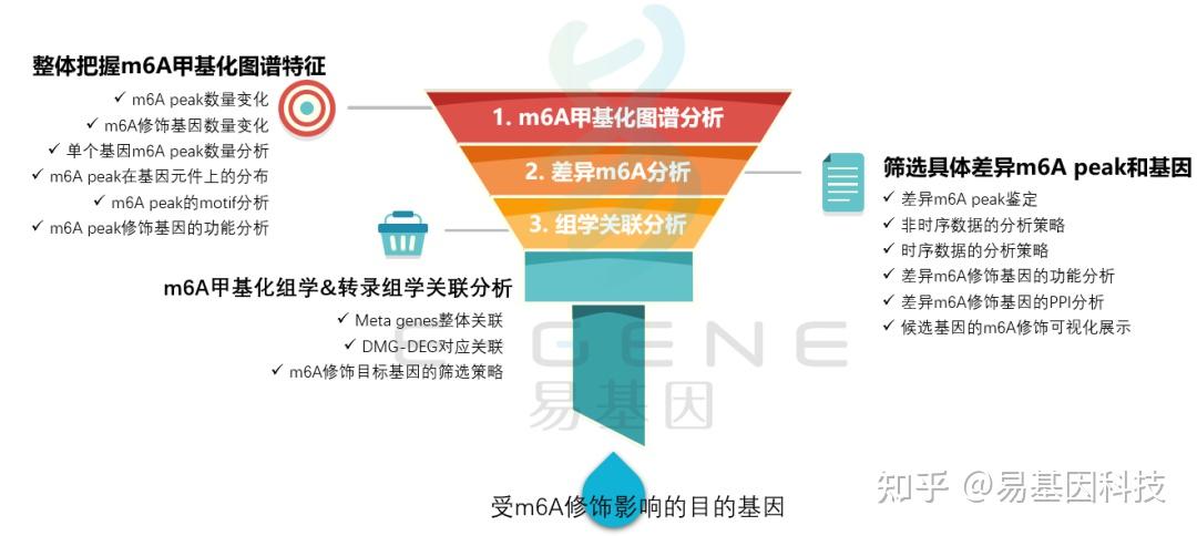 前盖设计与功能的重要性探讨