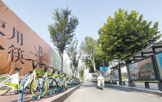 东麒路，城市发展的时代见证者