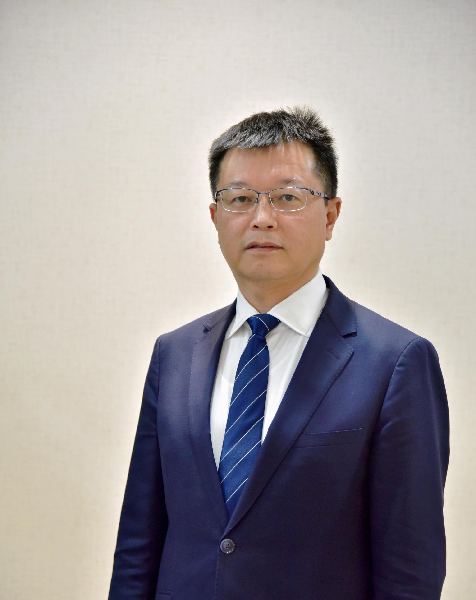 车险详解，汽车保险全过程解析与查询指南