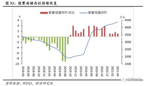 中石油油价走势，市场趋势、影响因素及未来展望