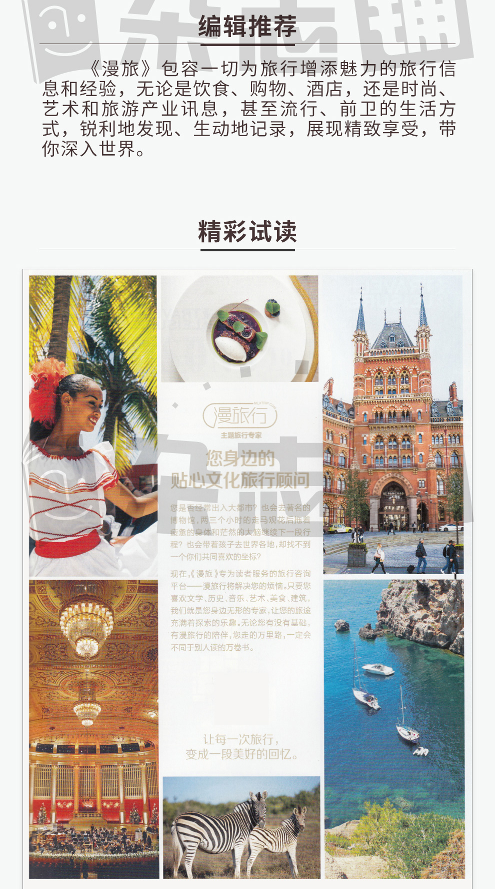 二排，独特视角与体验之旅