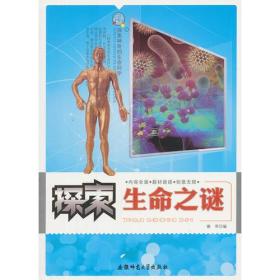 探索生命之源的奥秘，背胎之旅